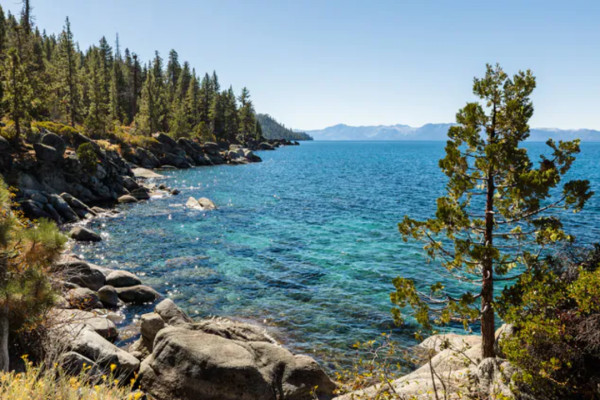 marriotts-timber-lodge-south-lake-tahoe (5)
