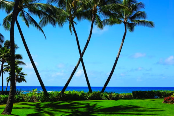 marriotts-waiohai-beach-club (4)