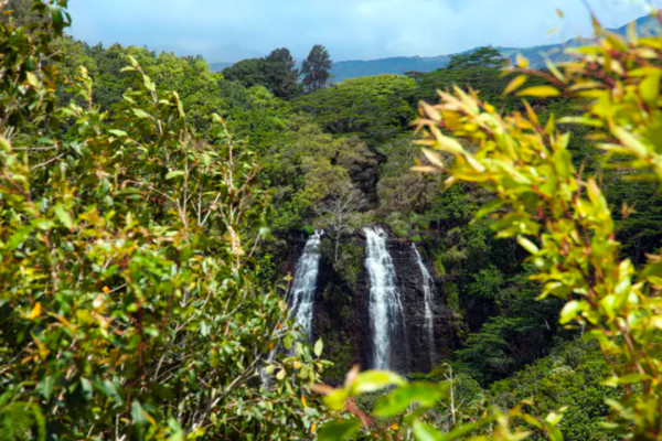 princeville-ocean-resort-villas04